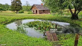 魔都桑拿体验：身心焕活之旅，解锁上海按摩新境界 海报