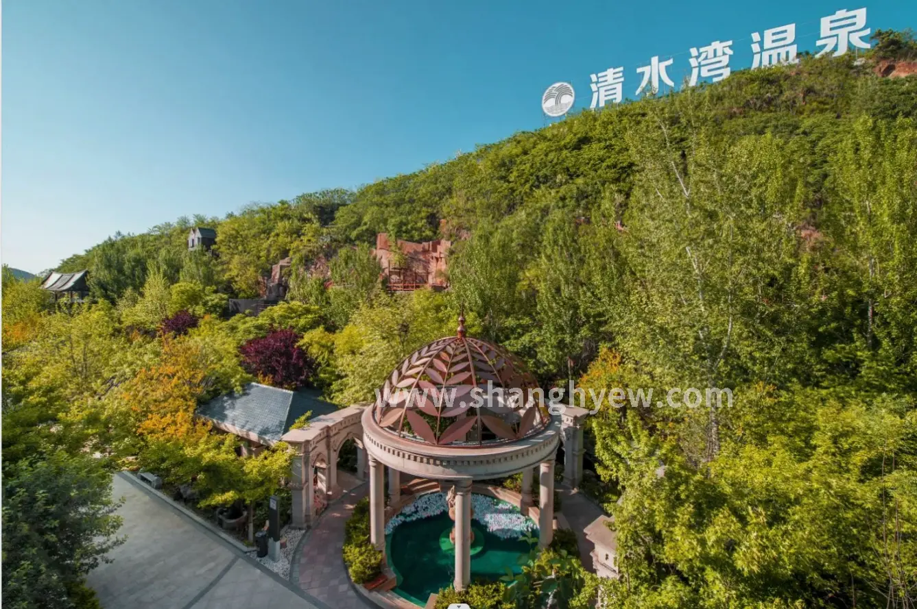 桑拿美食