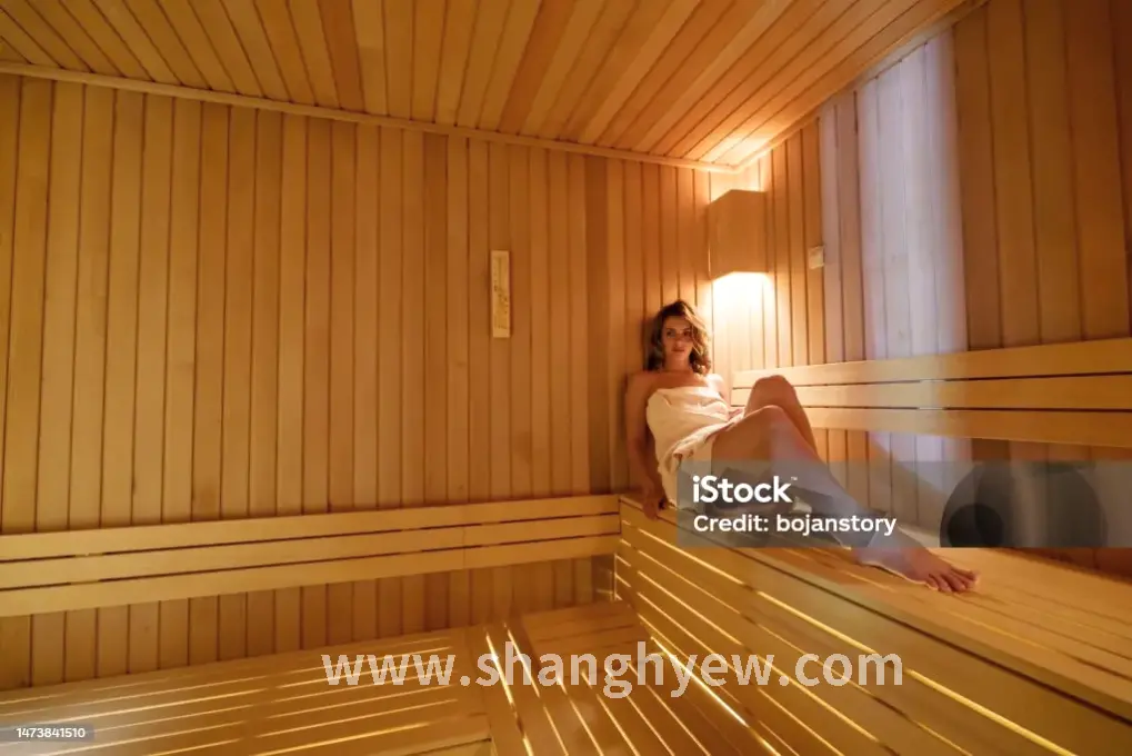 现代桑拿