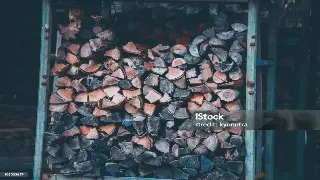 魔都养生秘籍：告别亚健康，营养师教你如何“食”半功倍，吃出精气神！