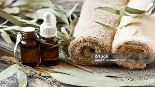 告别瞎养！上海阿姨亲授：季节养生搭配秘籍，让你少走弯路！