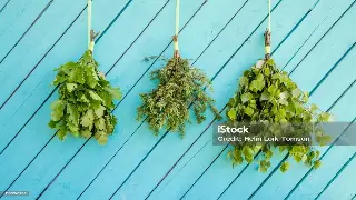 告别肩颈僵硬！3招独家按摩手法，让你在家也能享受专业级的放松！ 海报