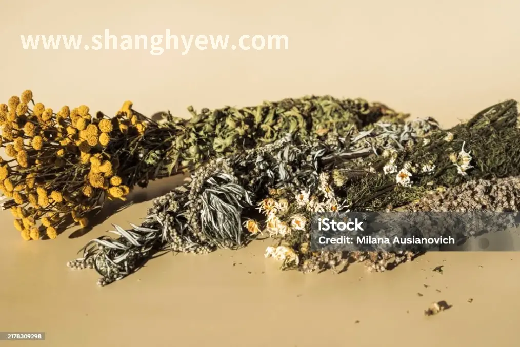 颈部按摩示意图